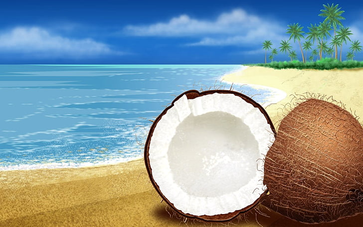 Coco, praia, castanha