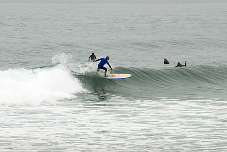 surfing, beach surf, surf, ocean, surf-riding, sport, surfboard