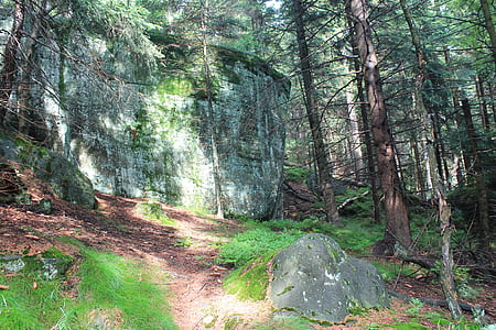 batu-batu yang tidak menentu, Kudowa-zdrój, Taman Nasional, Pegunungan Tabel