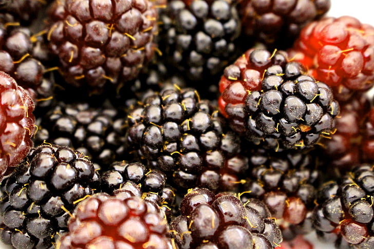 Berry, boysenberry, BlackBerry, voedsel, fruit, vers, heerlijke