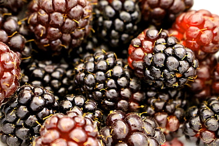 jagodami, boysenberry, BlackBerry, hrane, sadje, sveže, okusno