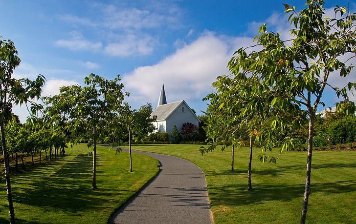 fletchers църква, езерото Таупо, Нова Зеландия, Северен остров, път, природата, Таупо