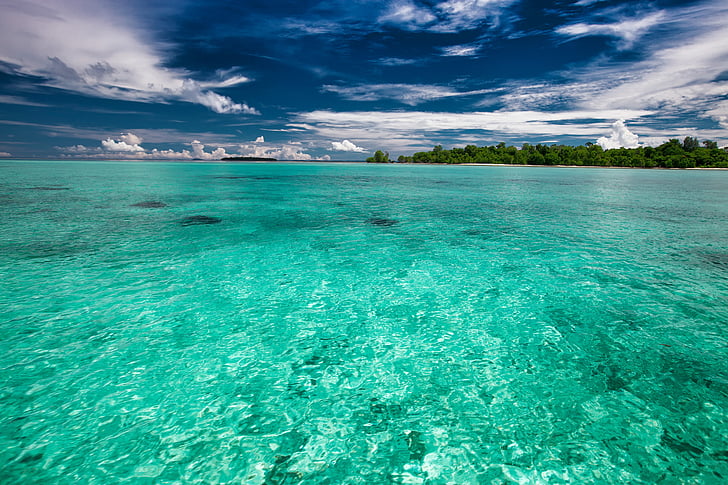 mělké moře, Tropical, Kojima, průhlednost, tyrkysová, WiDi ostrovy, Halmahera ostrovy