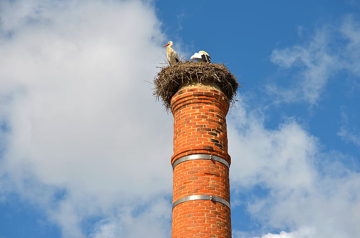 Stork, fågel, storkens nest, häckande, skorsten, häckar på skorstenen