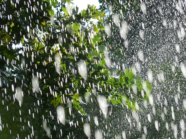priroda, kiša, proljeće, vode, pad, nakon kiše