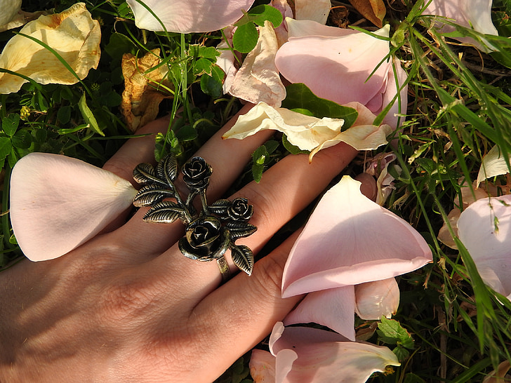 prsten, dragulj, ruku, ruža, latice cvijeća, roza