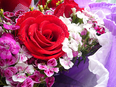 color de rosa, flor, ramo de la, rosa roja, planta, hermosa