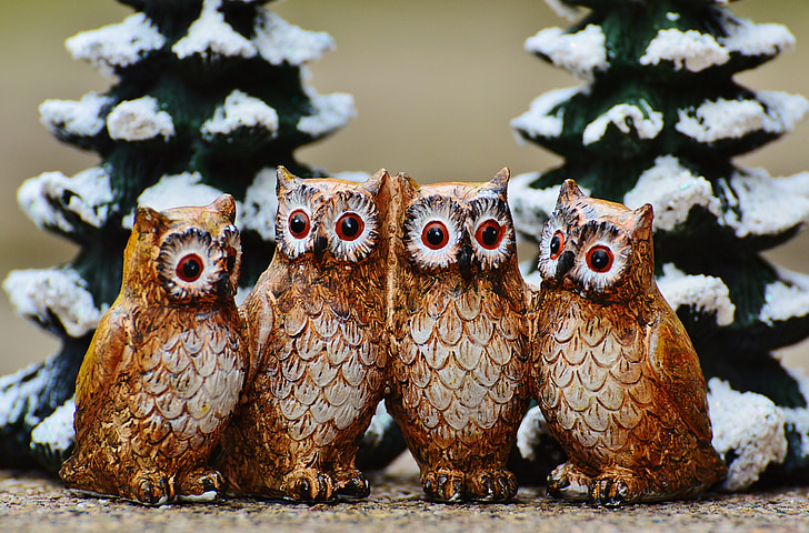 winter, owls, cute, sweet, figure, wintry, deco
