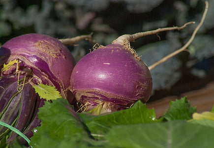 turnips, vegetables, soup, market, purple, food and drink, food