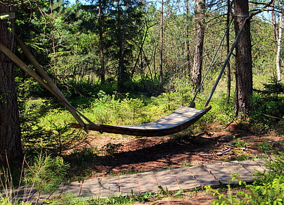 relaxation, swing, hammock, rest, sleep, forest, holiday