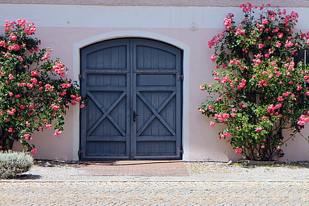 rožės, laipiojimo rožės, medienos, durys, tikslas, varstomos durys, kontūro