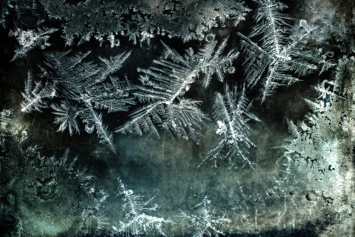 ice flowers, glass, night shot, nature, frosty, cold, winter