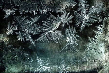 flores de hielo, vidrio, Fotografía nocturna, naturaleza, Frosty, frío, invierno
