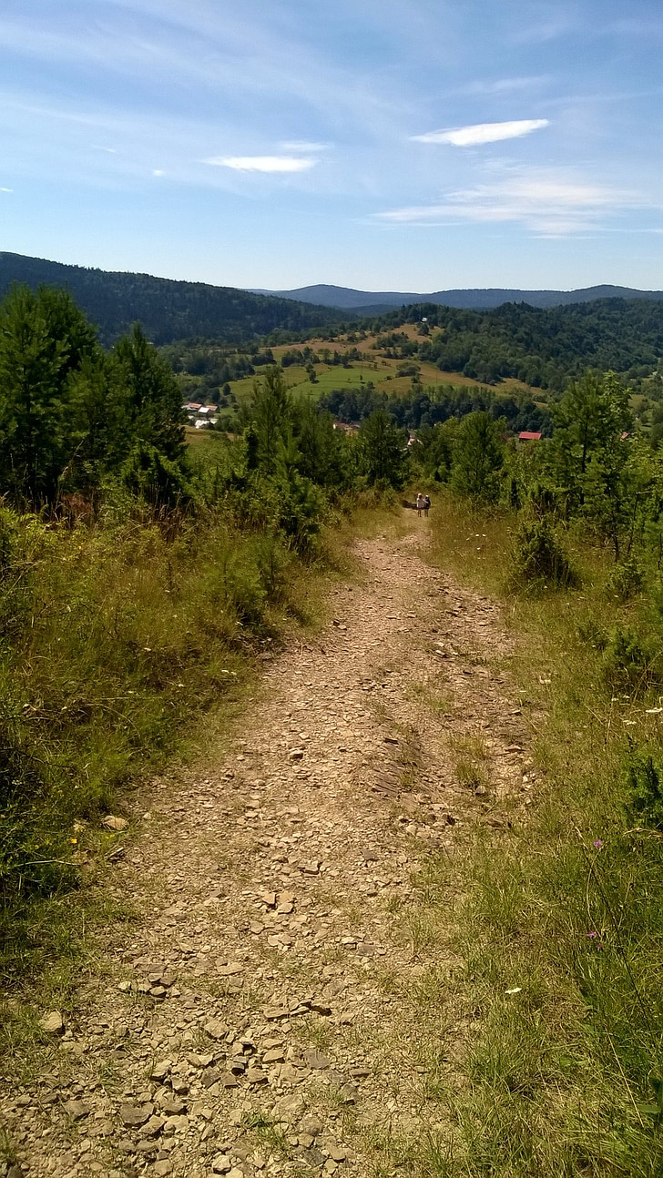 cách, vùng Bieszczady, màu xanh lá cây, mùa hè, bầu trời, du lịch, đường dẫn