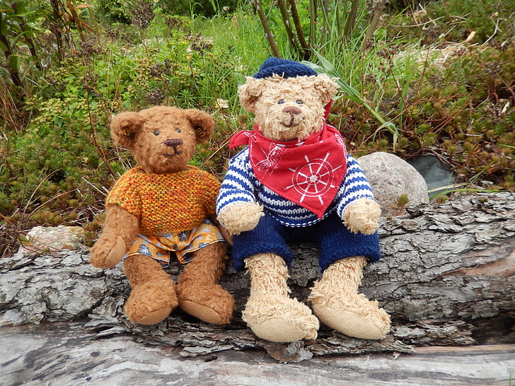 medvěd, Teddy bears, hračky, přátel, přátelství, odpočinek, zahrada