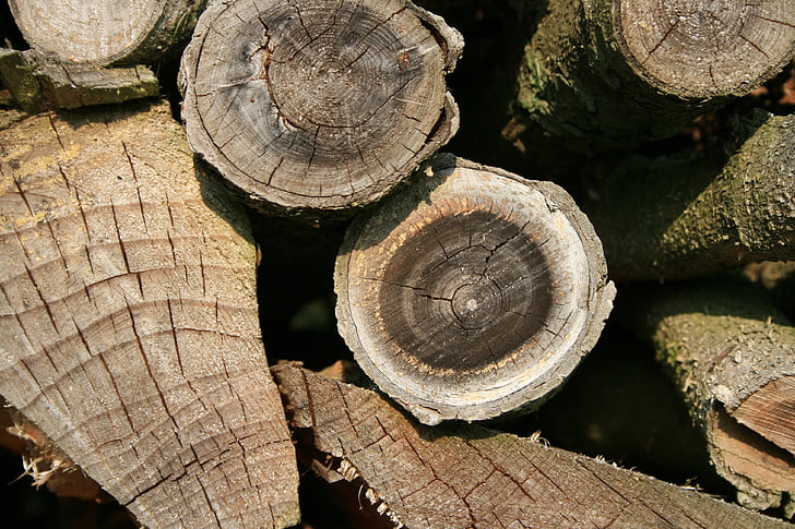 дървен материал, дърва за огрев, за съхранение на багаж, гребени конци рязане, наредени, дърво дърво, timberyard
