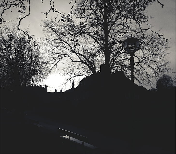 silueta, aldea, Horizon, poste de la lámpara, bancos, Ruta de acceso, blanco y negro