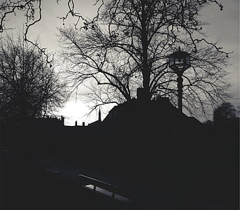 silhouette, village, horizon, lamp post, benches, path, black and white