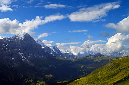 alpejska, panoramy, Eiger, Mnich, Dziewica, łąka, Rock