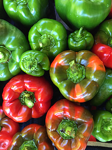 garden, peppers, vegetable, gardening, green, organic, healthy
