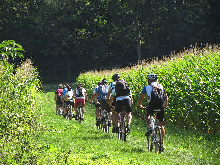 výlet na kole, louka, Příroda, kukuřičné pole, Cyklistika, jízdní kolo, sportovní