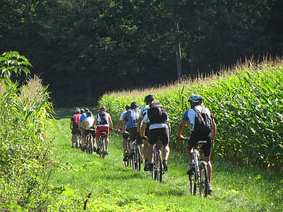 bicycle tour, meadow, nature, cornfield, cycling, bicycle, sport