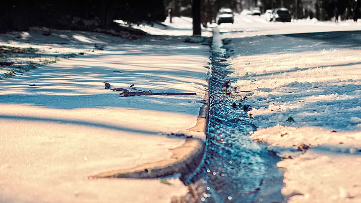sneg, ki zajema, cesti, posušene, listi, dnevno, hladno