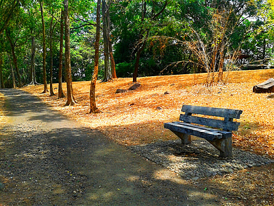 bench, garden, outdoor, relax, wood, nature, seat