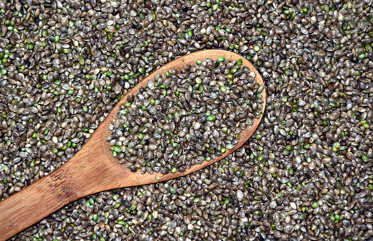 hemp, cannabis seeds, grains, healthy, food, eat, nature