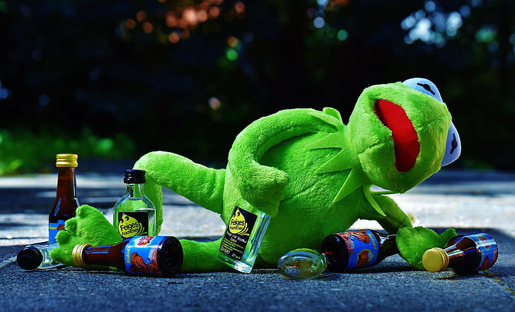 Kermit, ếch, thức uống, rượu, say rượu, phần còn lại, ngồi