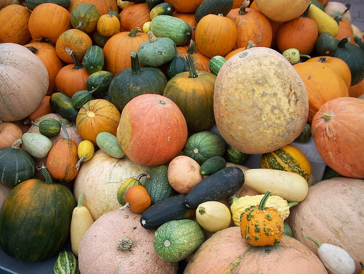 moliūgai, rudenį, spalvinga, derliaus, daržovės, maisto