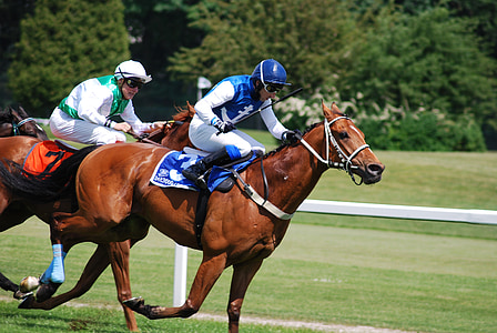 race, horses, racecourse