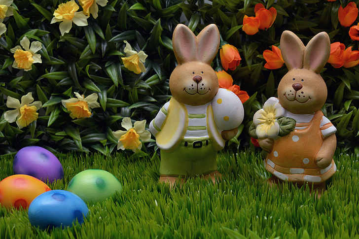 chú thỏ Phục sinh, thỏ, Lễ phục sinh, trứng Phục sinh, quả trứng, màu da cam, màu tím