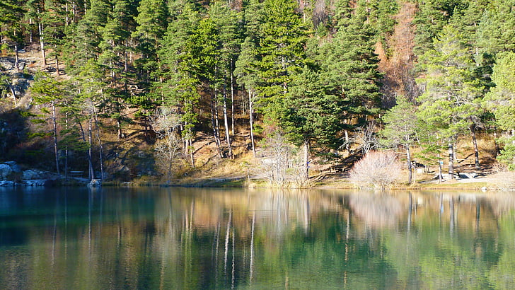 Lake, landschap, natuur, reflectie, water, boom, Val