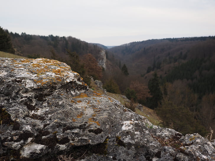 piccolo lautertal, alb di Swabian, Valle, Heide, Bermaringen, paesaggio, roccia