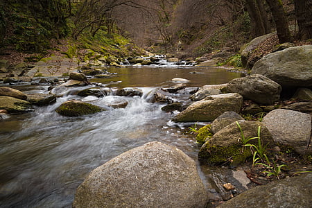 boulder, cascade, creek, environment, flow, forest, landscape