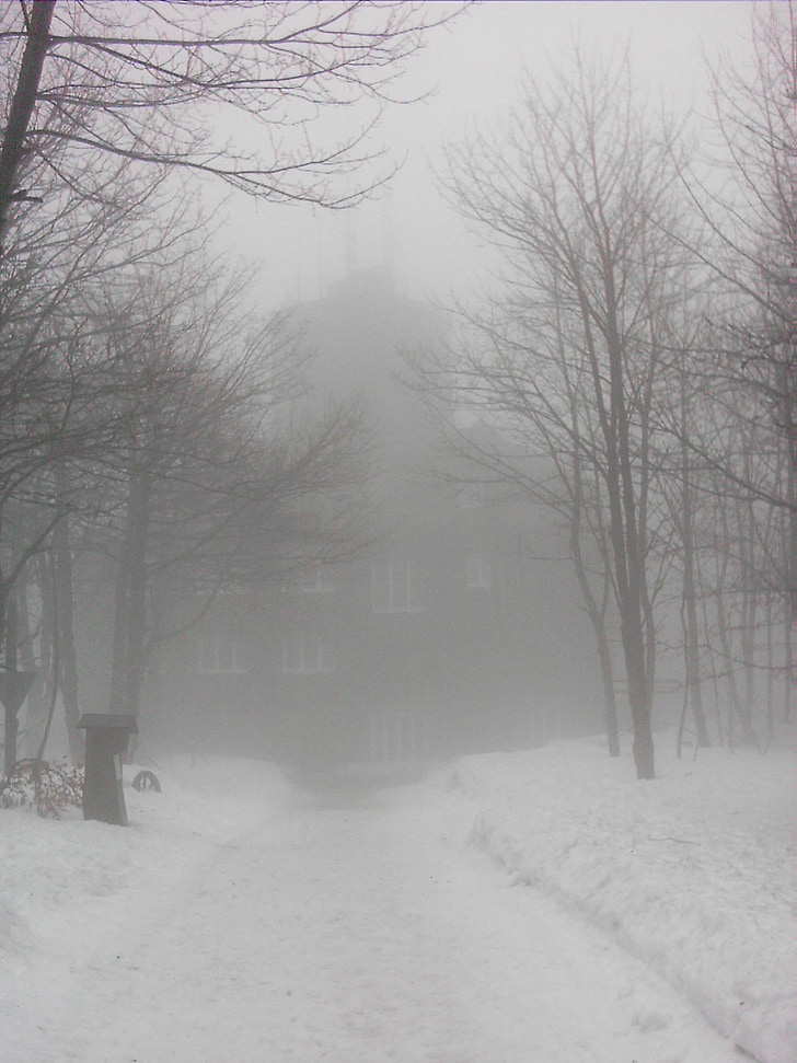 tåge, mystisk, Kahler asten, Hochsauerland, Winterberg
