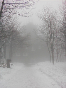 мъгла, загадъчна, спирката на автобуса, Hochsauerland, Winterberg