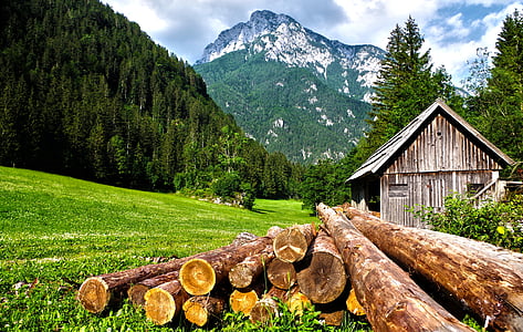 Alperna, ladugården, moln, land, landsbygd, dagsljus, miljö