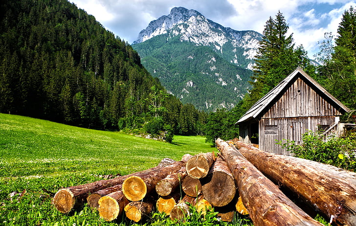 moinho, montanha, Alpes, gabonaőrlő, madeira, floresta, casa
