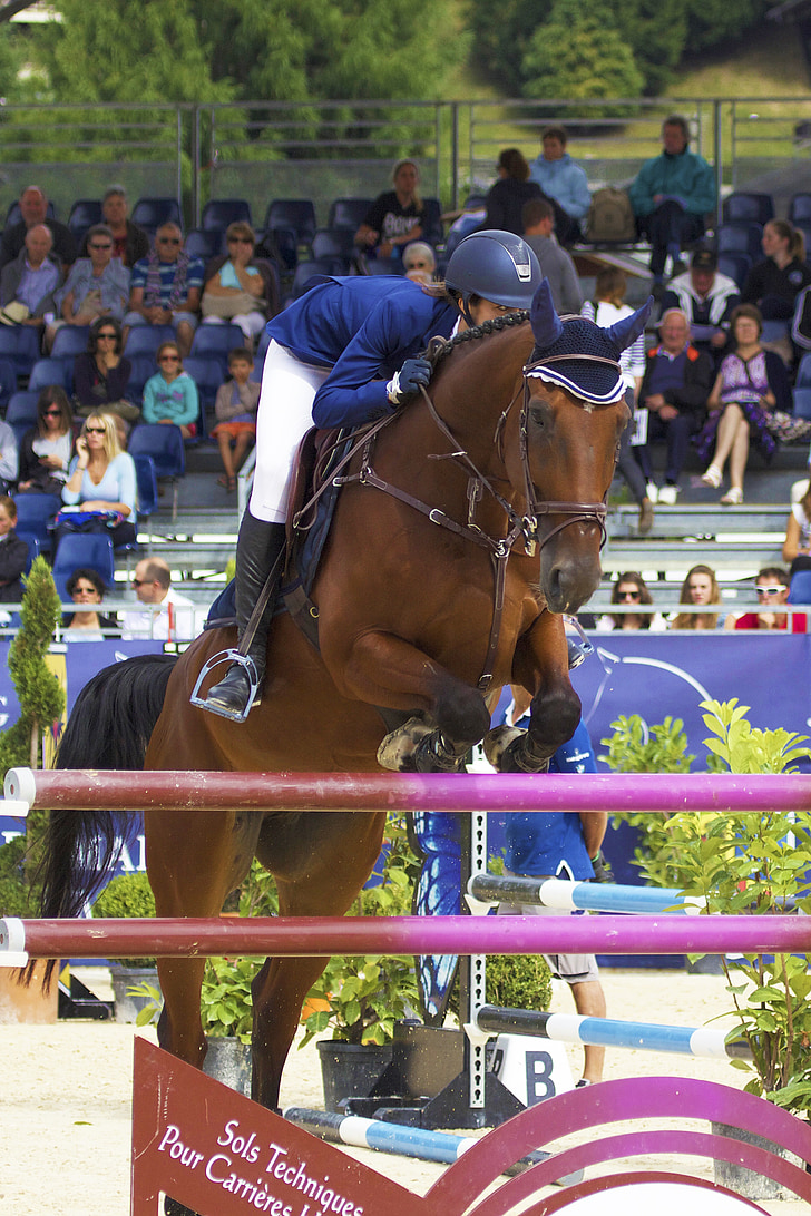 horse, jump, contest, equestrian, obstacle, sport, competition