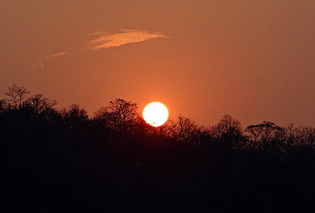 Saulėlydis, švytėjimas, miško, tattihallia, Karnataka, Indija, Gamta