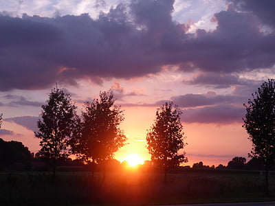 zonsondergang, Zelhem, bomen, natuur, Gelderland
