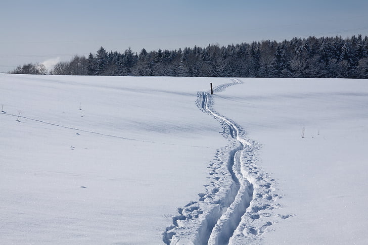 trace, cross country skiing, ski track, sticks, snowy, snow lane, winter