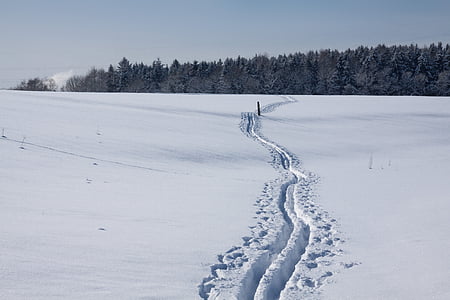 traccia, sci di fondo, pista da sci, bastoni, nevoso, Vicolo della neve, inverno