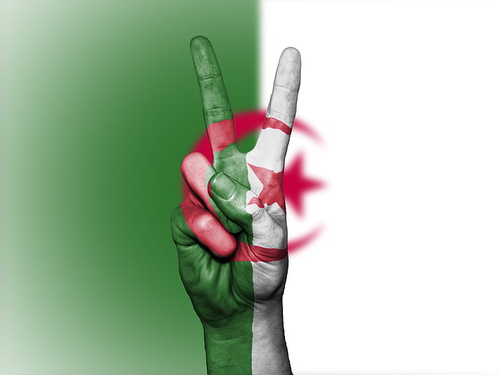Алжир, Прапор, миру, нація, Національний, уряд, банер