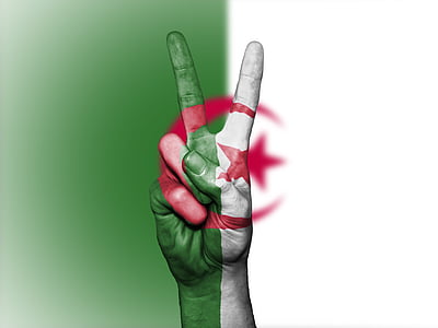 Algeriet, flagga, fred, nation, nationella, regeringen, banner