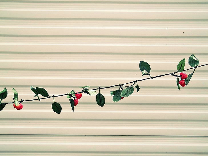 lichterkette, strawberries, wall, festival, sheet, decoration, summer