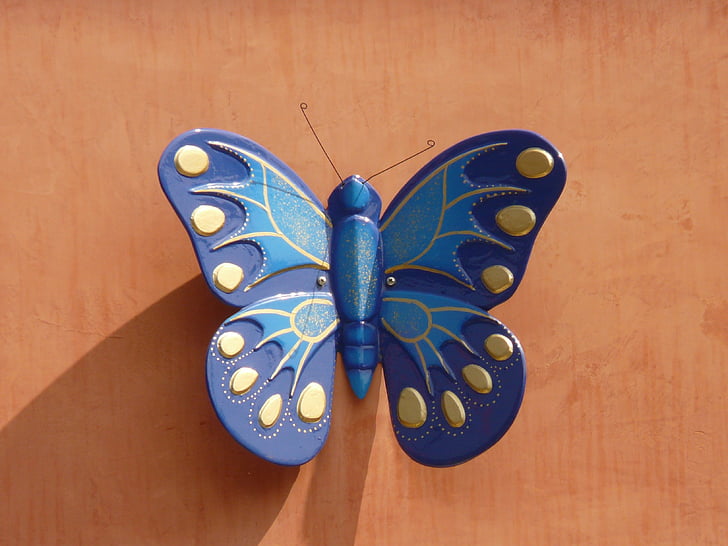 papallona, animal, insecte, ala, blau