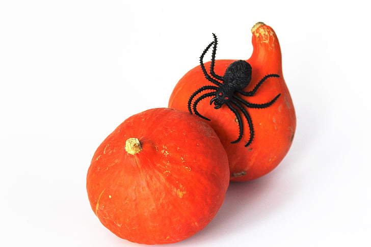 halloween, bí ngô, mùa thu, màu da cam, rùng rợn, Chúc mừng lễ hội hoá trang, Gourd